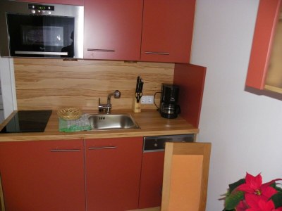 Apartment Apartment Nr.12 mit Wohn-Schlafraum/Dusc - Features photo 18