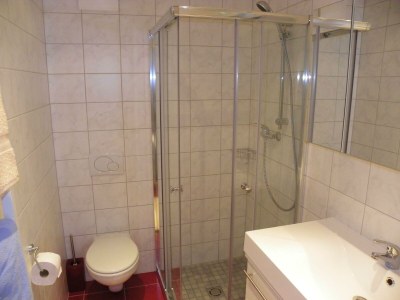 Apartment Apartment Nr.13 mit 1 Schlafraum/Dusche - Features photo 21