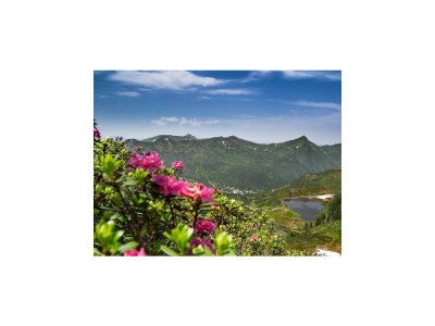 Apartment Appartement Nr. 19 mit 1 Schlafraum, Dusche - Outdoor photo 6