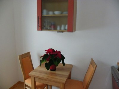 Apartment Apartment Nr.14 mit Wohn-Schlafraum/Dusc - Features photo 18