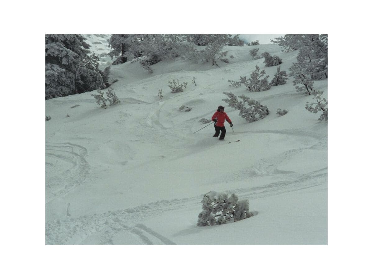 Apartment Appartement Burgi/Wohn-Schlafraum/Bad mit DU, WC - Outdoor photo 2