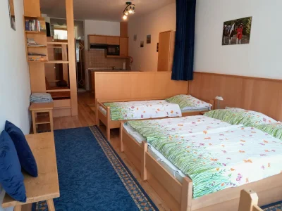 Apartment Appartement Burgi/Wohn-Schlafraum/Bad mit DU, WC - Features photo 19