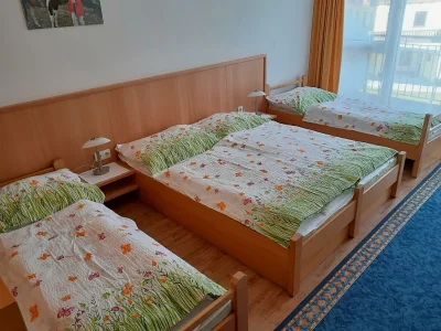 Apartment Appartement Burgi/Wohn-Schlafraum/Bad mit DU, WC - Features photo 20