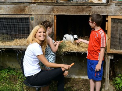 Apartment Appartement "Hoamatgfühl" 1-2 Nächte - Outdoor photo 16