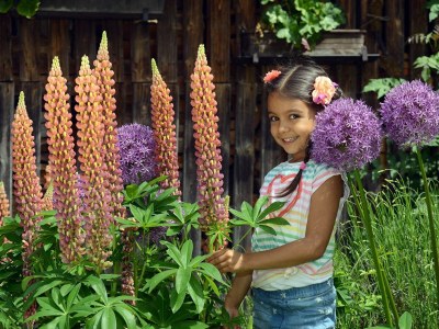 Apartment Appartement "Zeitlos" 1-2 Nächte - Outdoor photo 24