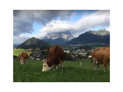 Holiday room Morgentau Zimmer - Outdoor photo 8