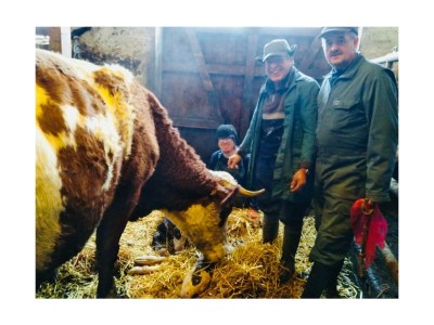 Holiday room Morgentau Zimmer - Outdoor photo 31