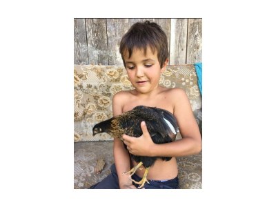 Holiday room Morgentau Zimmer - Outdoor photo 36