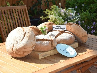 Holiday room Morgentau Zimmer - Outdoor photo 73