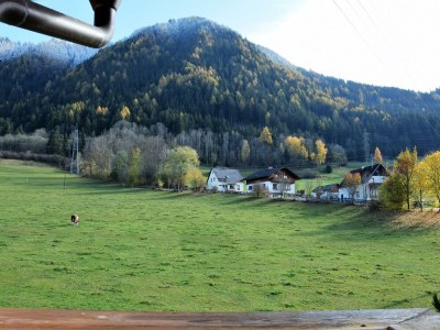 Holiday room Morgentau Zimmer - Features photo 86