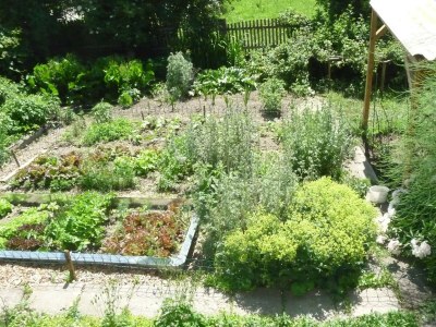 Apartment Appartement Lindenblick - Outdoor photo 36