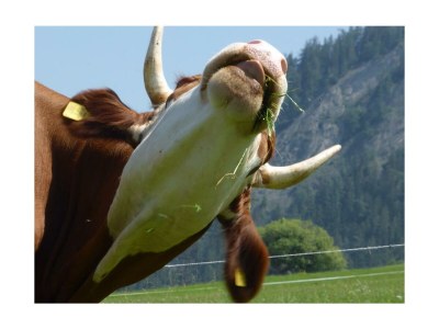 Apartment Appartement Lindenblick - Outdoor photo 59