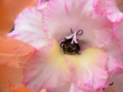 Apartment Appartement Lindenblick - Outdoor photo 62