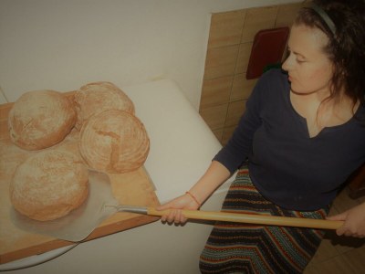 Apartment Appartement Ennstalblick, - Outdoor photo 8