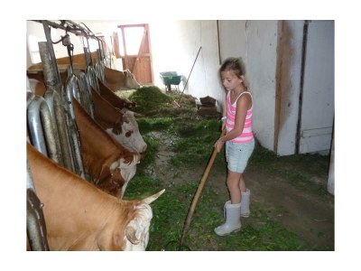 Apartment Appartement Ennstalblick, - Outdoor photo 40