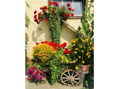 Apartment Appartement Ennstalblick, - Outdoor photo 65