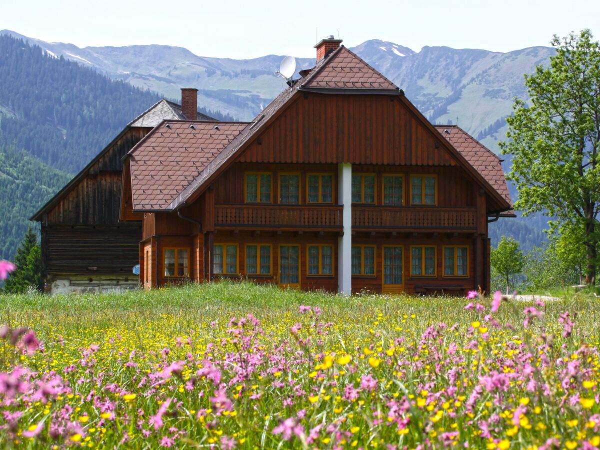 Apartment Ferienwohnung 1 BergTraum