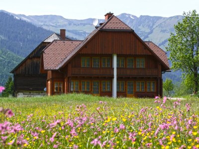Apartment Ferienwohnung 1 BergTraum in Irdning-Donnersbachtal - Apartment