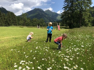 Apartment Ferienwohnung 1 BergTraum - Outdoor photo 6