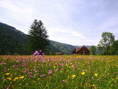 Apartment Ferienwohnung 1 BergTraum - Outdoor photo 9