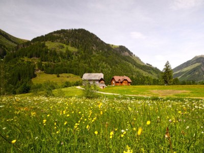 Apartment Ferienwohnung 1 BergTraum - Outdoor photo 23