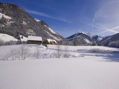 Apartment Ferienwohnung 1 BergTraum - Outdoor photo 29