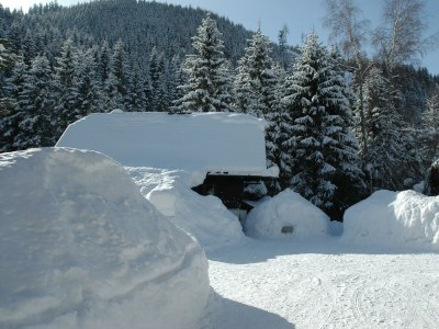Apartment Ferienhaus Nr.5/2 Schlafräume/ Dusche, WC - Features photo 31