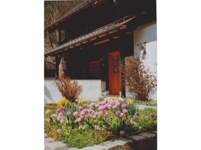 Apartment Apartment Nr.11/Wohn-Schlafraum/Dusche, WC - Features photo 37