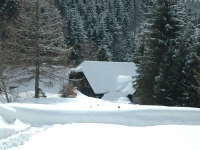 Apartment Ferienwohnung 10/1 für 6 Personen - Features photo 33