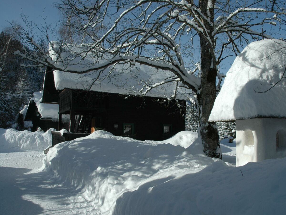 Apartment Ferienhaus Nr.3/Wohn-Schlafraum/Dusche, WC - Outdoor photo 3