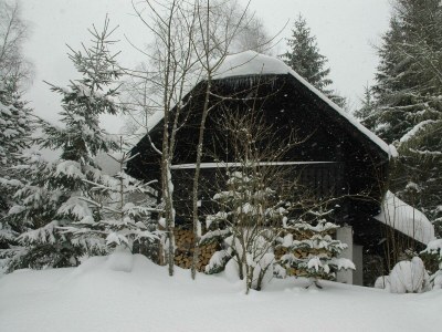 Apartment Ferienhaus Nr.3/Wohn-Schlafraum/Dusche, WC - Features photo 33