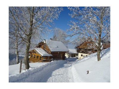 Apartment Ferienwohnung "Dachsteinblick" - Outdoor photo 46