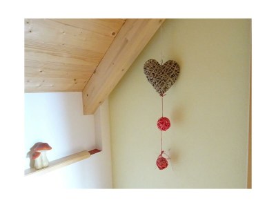 Apartment Ferienwohnung "Dachsteinblick" - Features photo 49