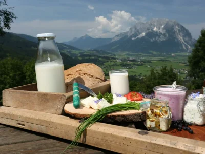 Apartment Ferienwohnung "Grimmingblick" - Outdoor photo 7