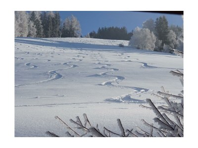 Apartment Ferienwohnung "Grimmingblick" - Outdoor photo 8