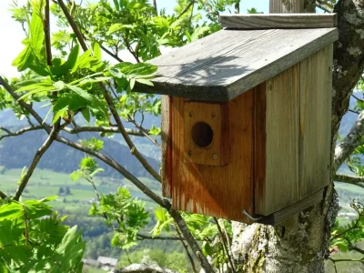 Apartment Ferienwohnung "Grimmingblick" - Outdoor photo 23