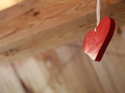 Apartment Ferienwohnung "Grimmingblick" - Outdoor photo 33