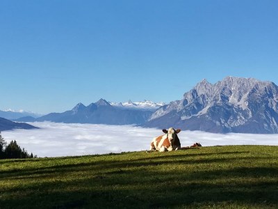 Apartment Ferienwohnung "Grimmingblick" - Outdoor photo 45