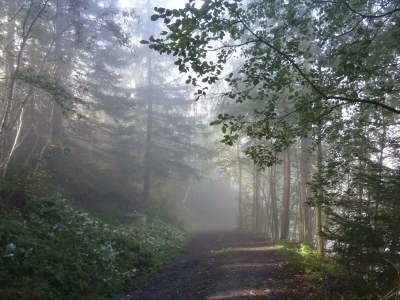 Apartment Blockhaus "Sonnenschein" - Outdoor photo 9