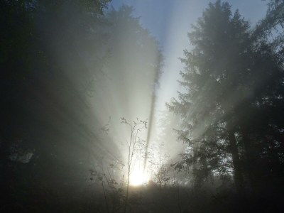 Apartment Blockhaus "Sonnenschein" - Outdoor photo 15