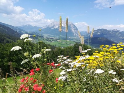 Apartment Blockhaus "Sonnenschein" - Outdoor photo 18