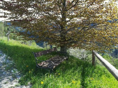 Apartment Blockhaus "Sonnenschein" - Outdoor photo 20