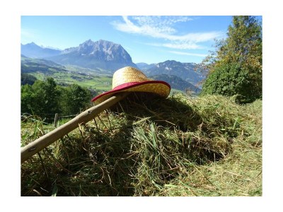 Apartment Blockhaus "Sonnenschein" - Outdoor photo 37