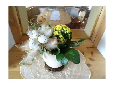 Apartment Blockhaus "Sonnenschein" - Outdoor photo 39