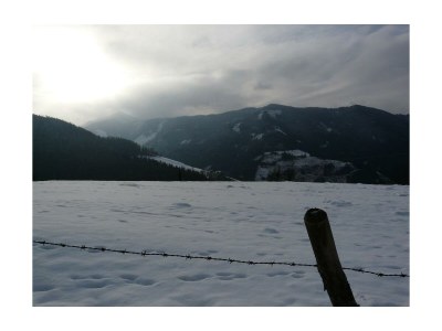 Apartment Bio-Wohlfühlhaus Morgensonne - Outdoor photo 15