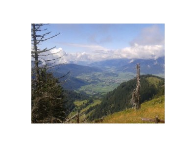 Apartment Bio-Wohlfühlhaus Morgensonne - Outdoor photo 34