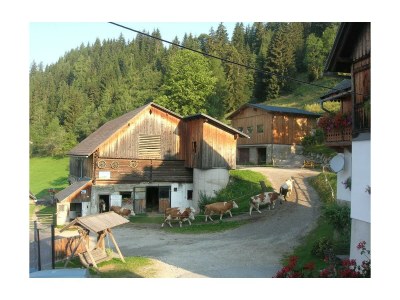 Apartment Bio-Wohlfühlhaus Morgensonne - Outdoor photo 38