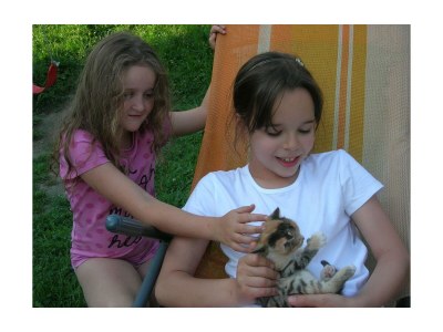 Apartment Bio-Wohlfühlhaus Morgensonne - Outdoor photo 44