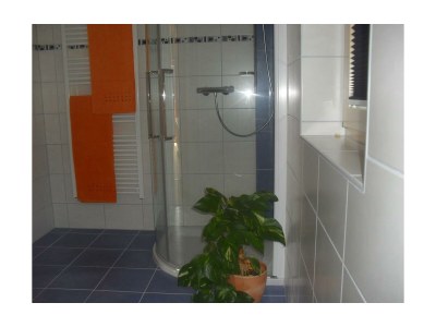 Apartment Bio-Wohlfühlhaus Morgensonne - Features photo 47