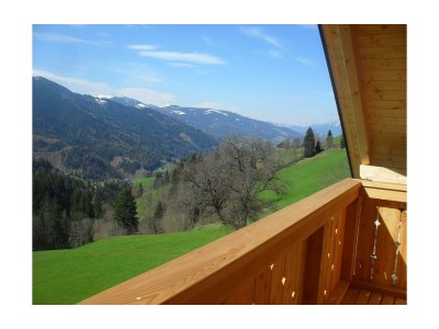 Apartment Bio-Wohlfühlhaus Morgensonne - Features photo 55